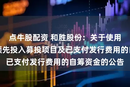 点牛股配资 和胜股份：关于使用募集资金置换预先投入募投项目及已支付发行费用的自筹资金的公告